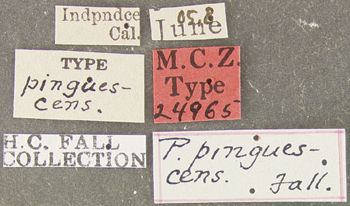 Media type: image;   Entomology 24965 Aspect: labels